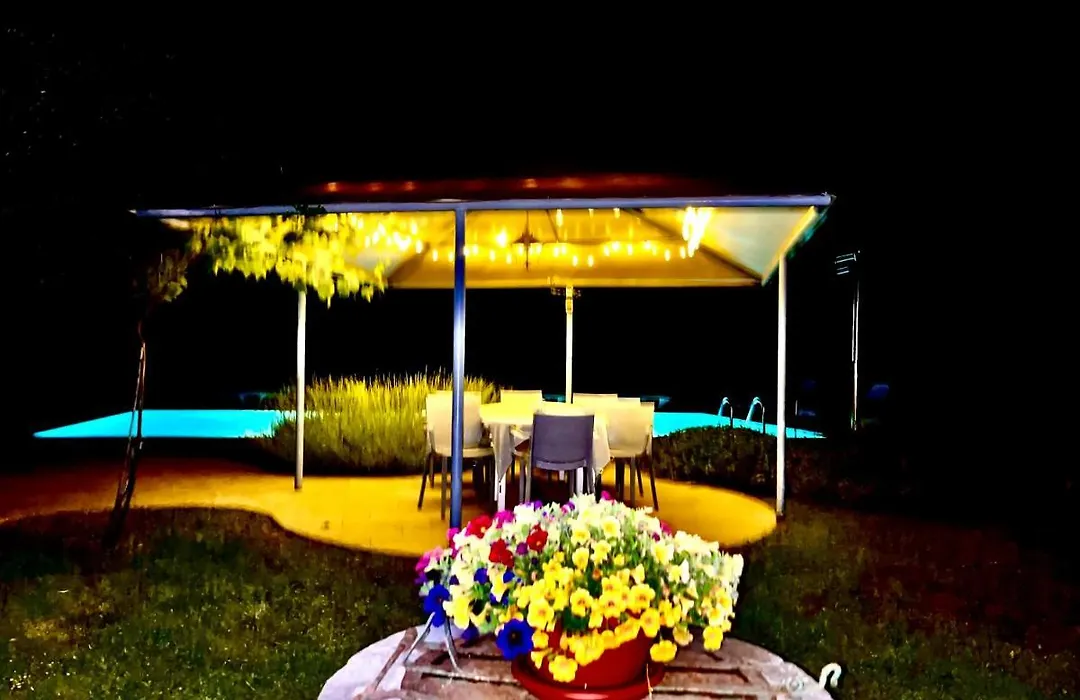 Pansion Margerita-1