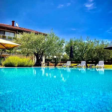 Pansion Margerita-3